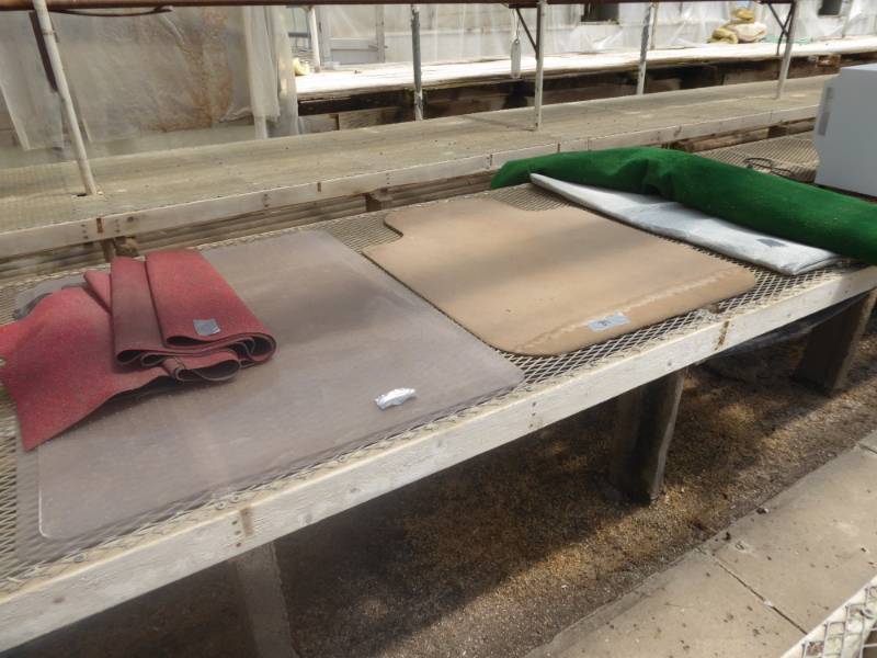 lot 89 image: Bulk Lot of Plastic Protection Mats & Anti Slip Mats & More