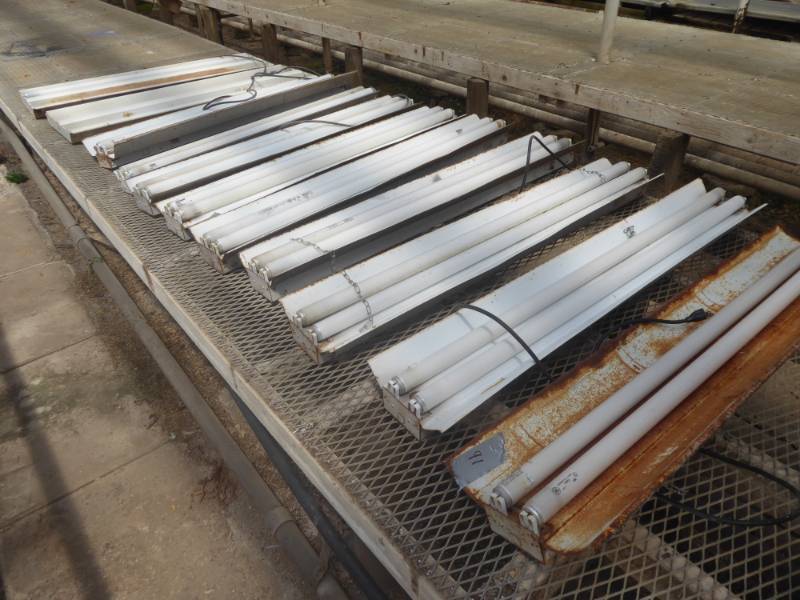 lot 91 image: Bulk Lot of Eleven Fluorescent Light Ballasts