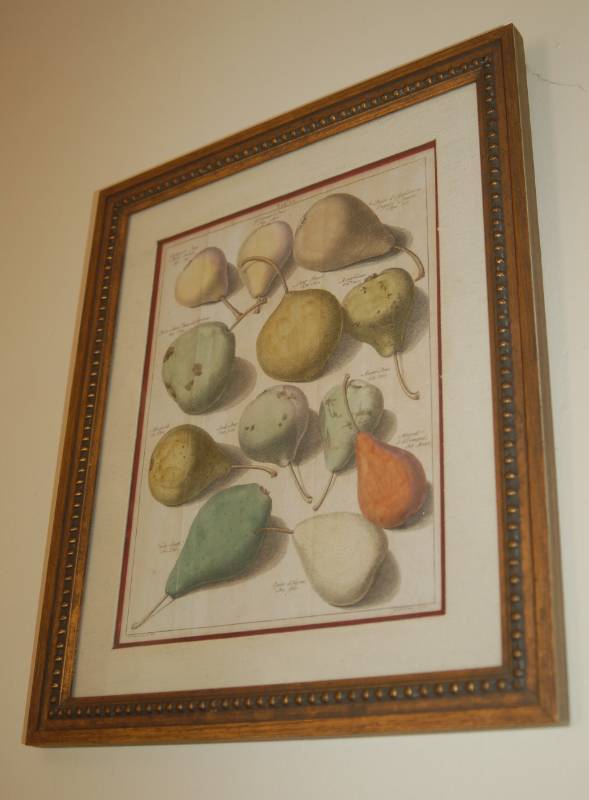 lot 70 image: Pair of Botanical Prints