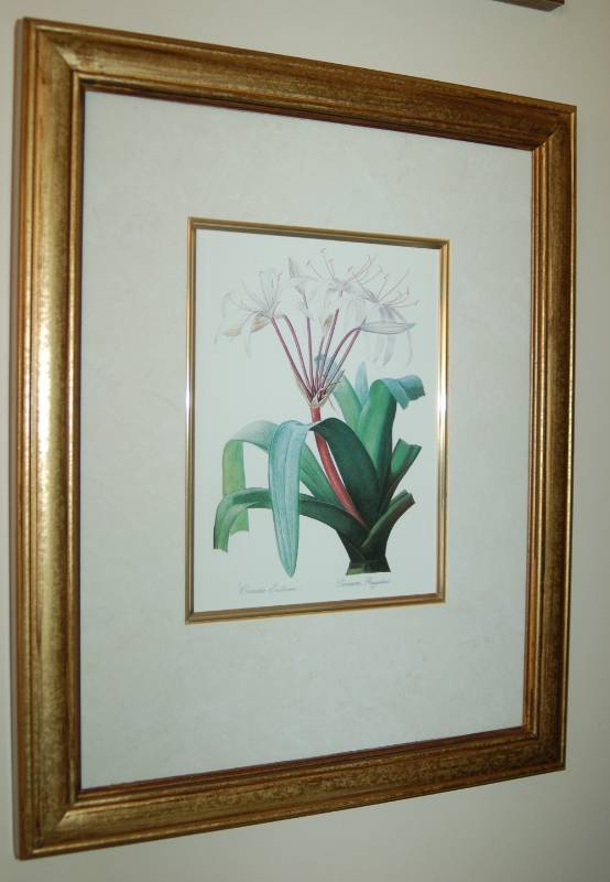 lot 69 image: Pair of Botanical Prints