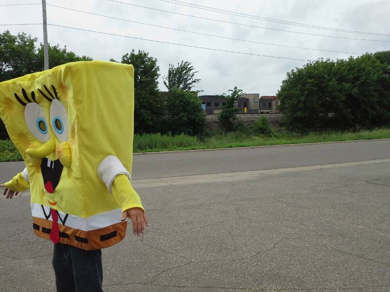 Plush Costume (Adult Size)