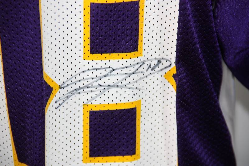 Minnesota Vikings Sidney Rice Jersey Auto
