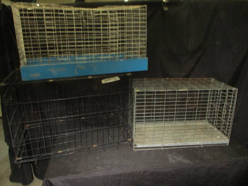 lot 36 image: 3 Cages 15 x 31 x 16  and 28x14x17 and 31 x 19 x 21