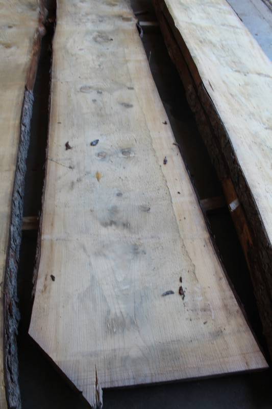 lot 457 image: Spruce Pine