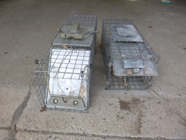 lot 200 image: 2 Live Hunting Traps