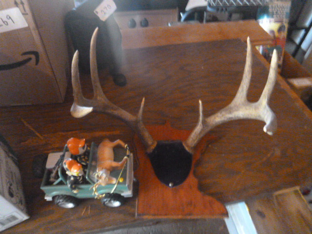 lot 271 image: 8 Point Mounted Deer Antlers