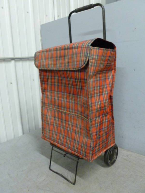 lot 15 image: Portable Shopping Cart