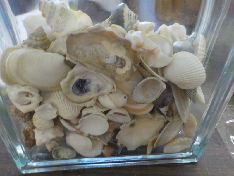 lot 111 image: Glass Block Filled with Shells...