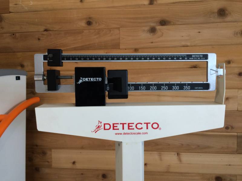 lot 42 image: Detecto Adult Medical Weighing Scale