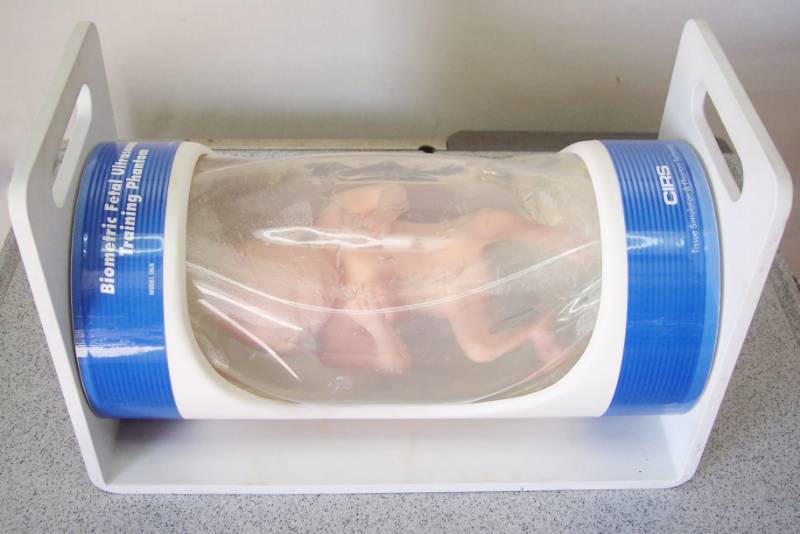 lot 31 image: WOW MSRP $4000 Expensive & Creepy The CIRS Model 068 Fetal Ultrasound Biometrics Phantom Teaching & Demonstration Of Fetal Ultrasound Examination Techniques -Great Condition Though There Are Lots Of Bubbles In The Gel
