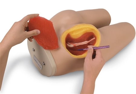 lot 27 image: NASCO Life Size Form Intramuscular Tush Buttocks&nbspNeedle Injection Simulator Training Medical Practice Manikin - Great Condition