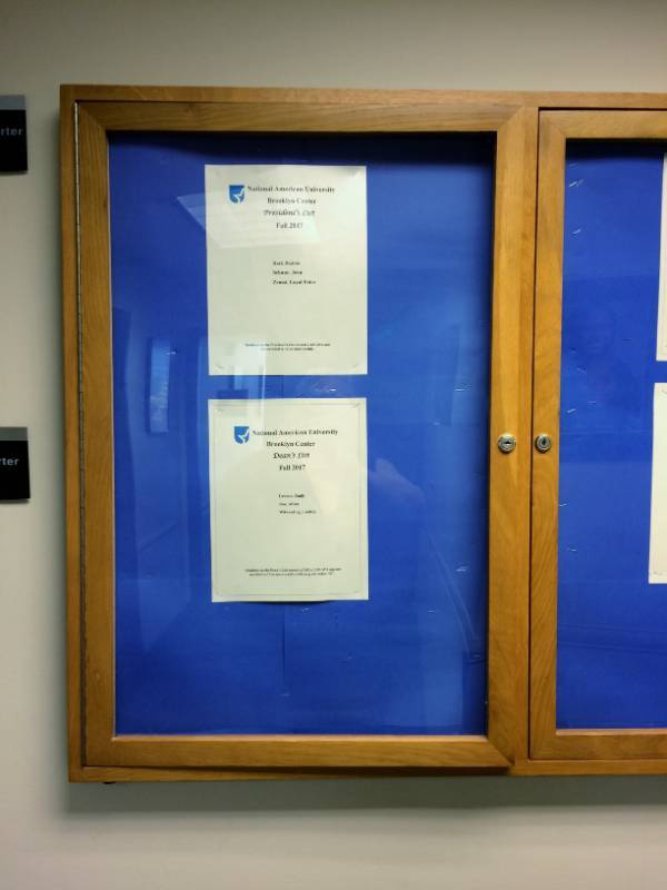 lot 50 image: TWO DOOR GLASS DISPLAY CABINET WALL MOUNTED - NO KEY