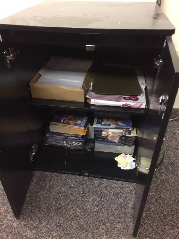 lot 84 image: 2 DOOR CABINET - GOOD CONDITION