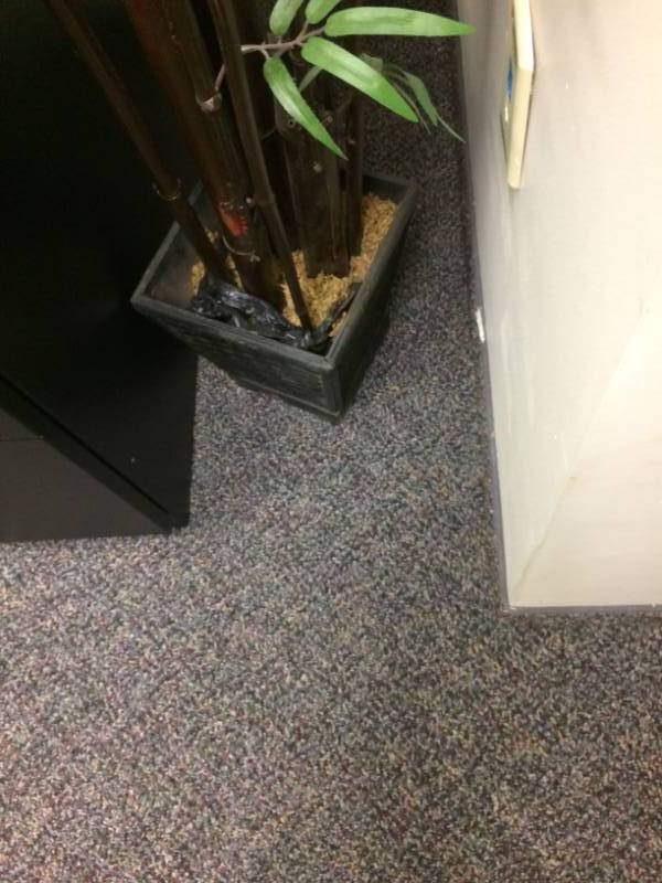 lot 87 image: Artificial Plant