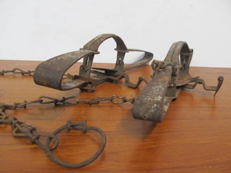 lot 18 image: Pair of Vintage Iron VICTOR Wolf Traps