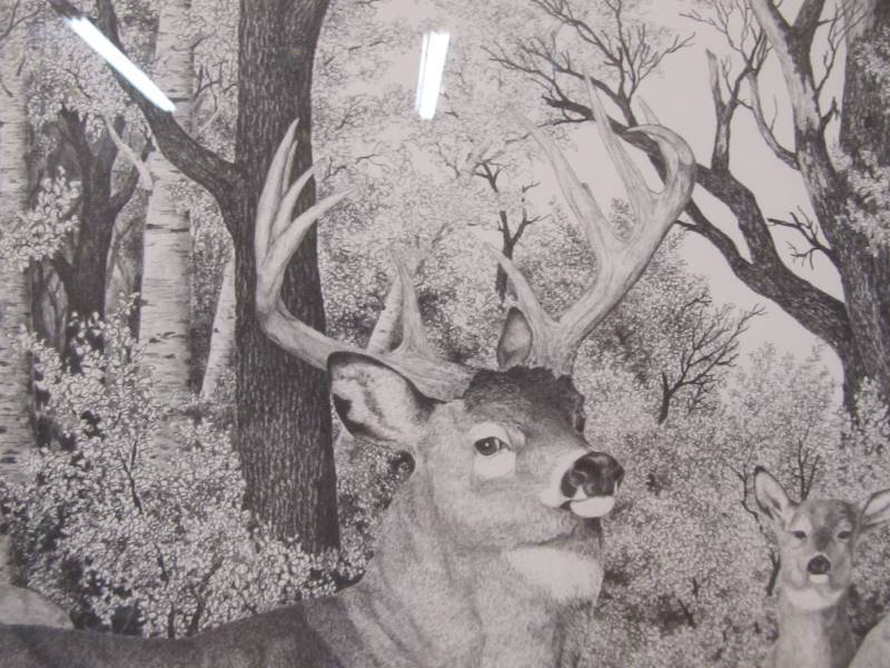 lot 228 image: Deer in the Forest Wildlife Art Print Signed Rock Bakken
