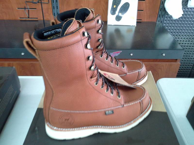 irish setter 896