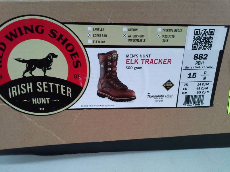 irish setter 882