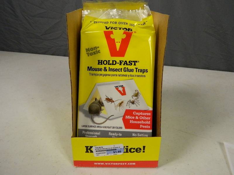 lot 102 image: New Case of Mouse and Insect Glue Traps