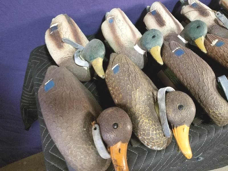 Mallard Decoys