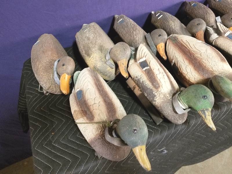 Mallard Decoys