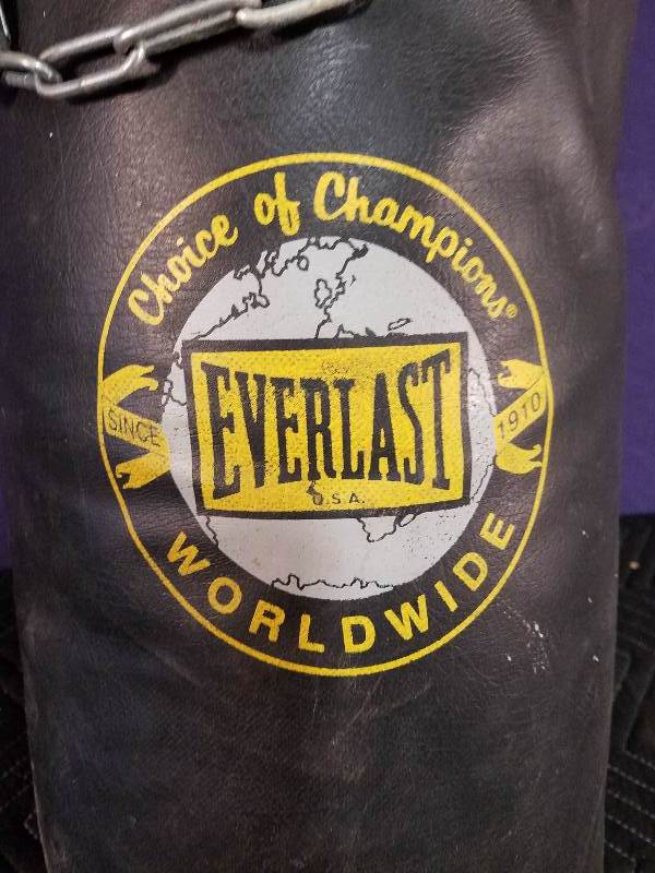 Everlast Punching Bag