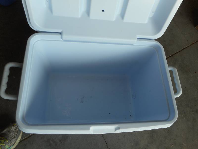 lot 43 image: Large Blue Coleman Cooler #1