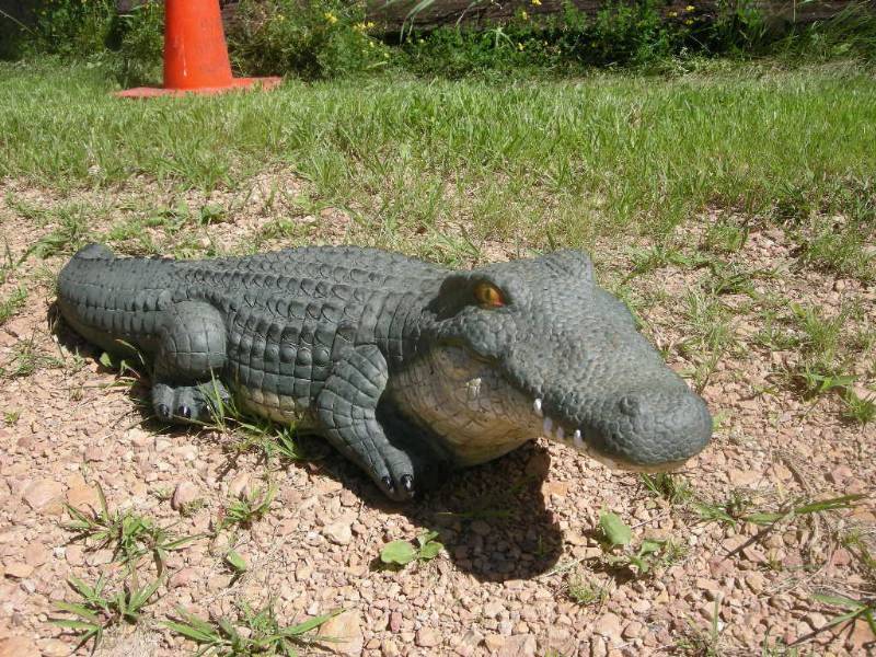 lot 19 image: Alligator Figure