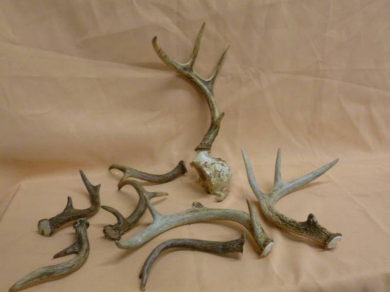 lot 39 image: Antler Sheds