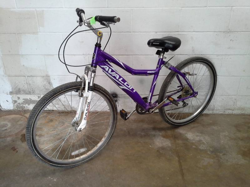 bicycle for 5 year old price