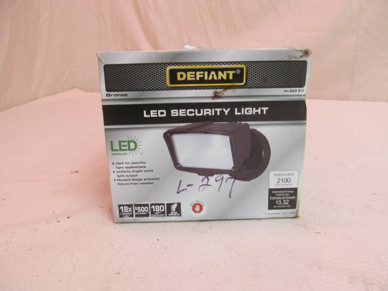 LED security light