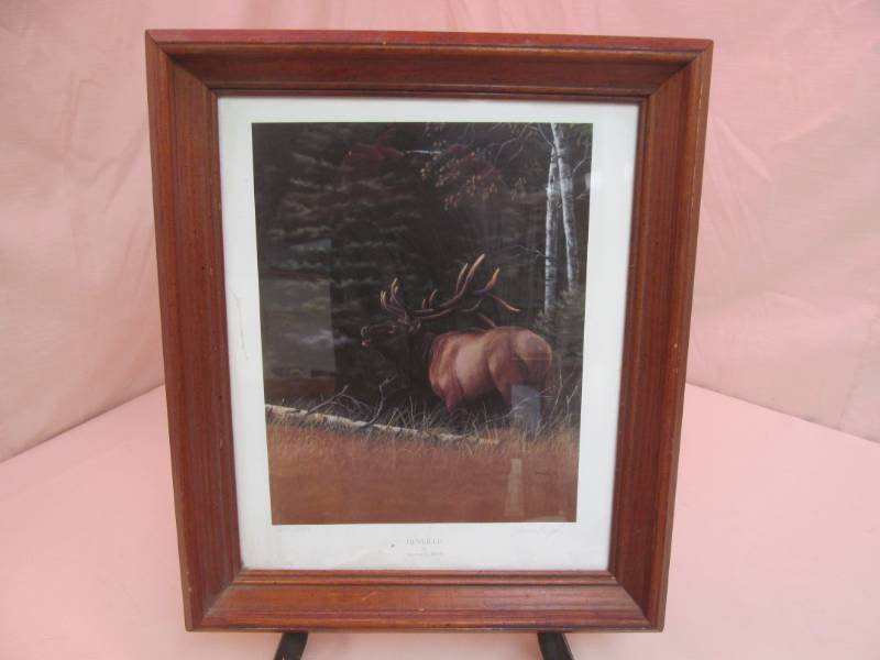 wild life print