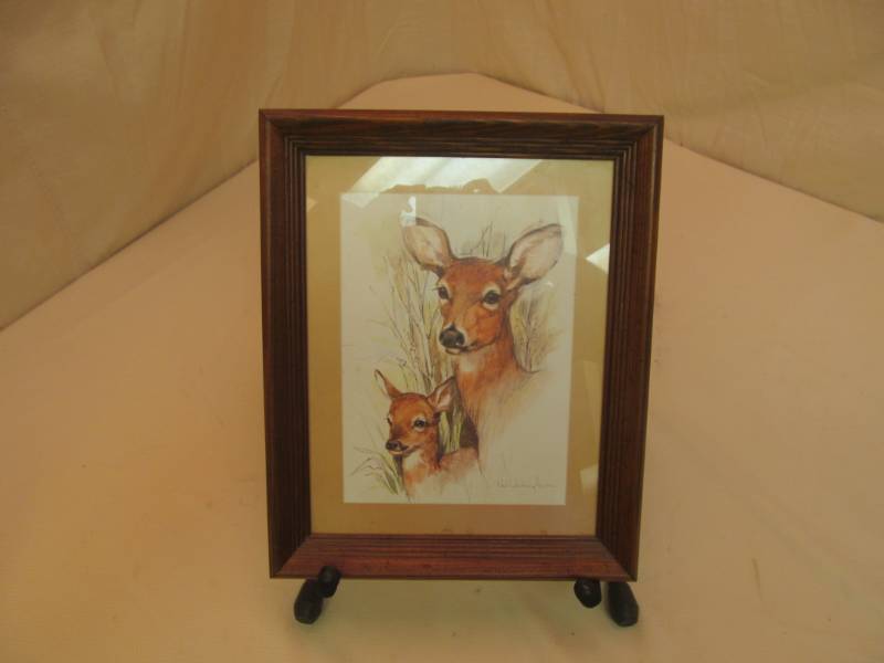 wild life print