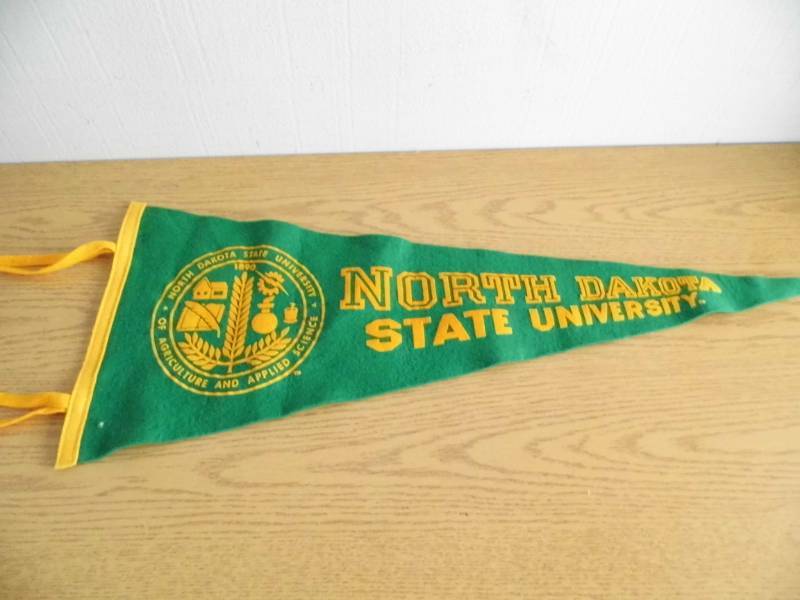 lot 21 image: NDSU Bison Pennant