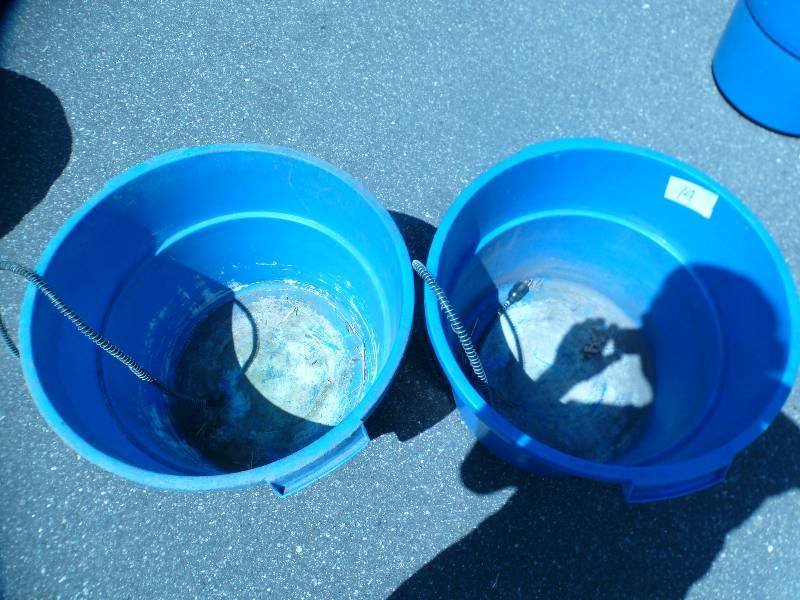 lot 74 image: 16 Gallon Heated Water Tub Lot of 2