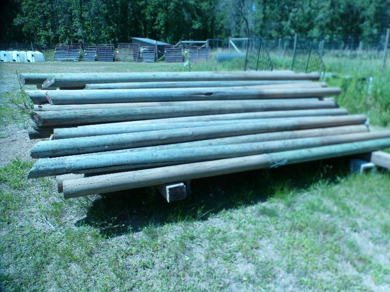 lot 106 image: Bundle of 14 x 6 Treated Posts (126 Pieces)