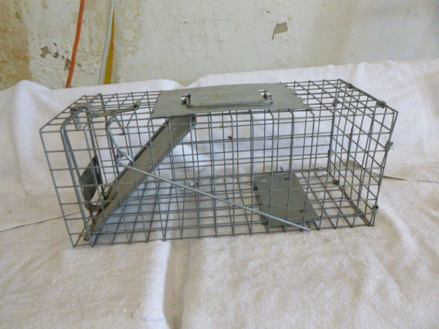 lot 28 image: Havahart Live Trap