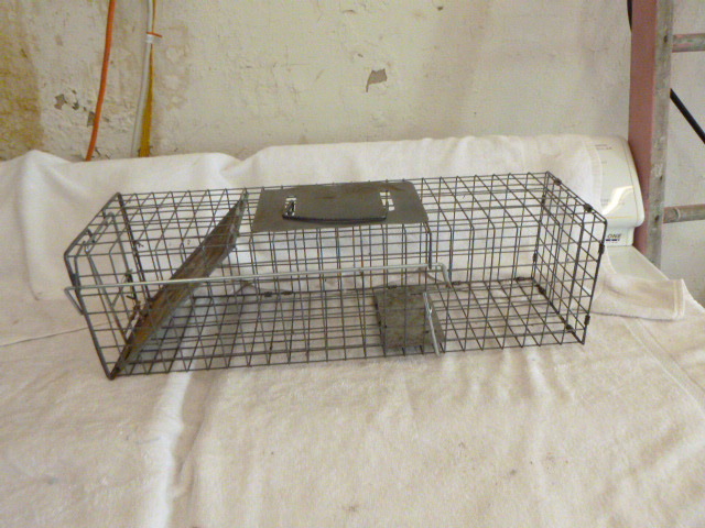 lot 30 image: Rovantek Live Trap