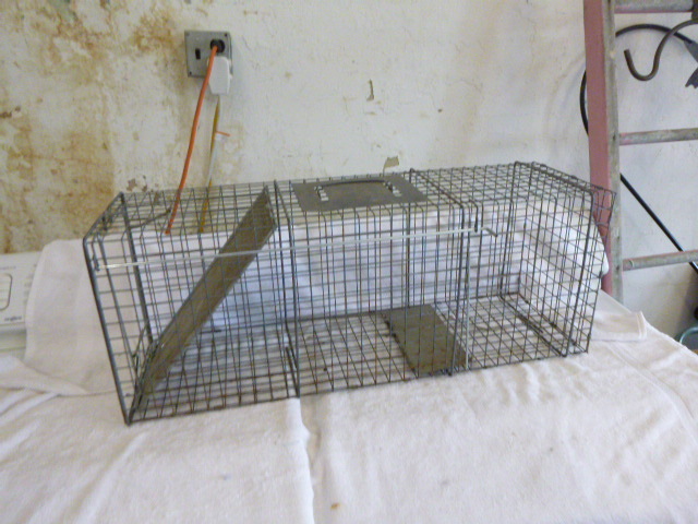 lot 31 image: Rovantek Live Trap