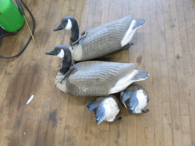 lot 91 image: 4 Canadian Goose Decoys