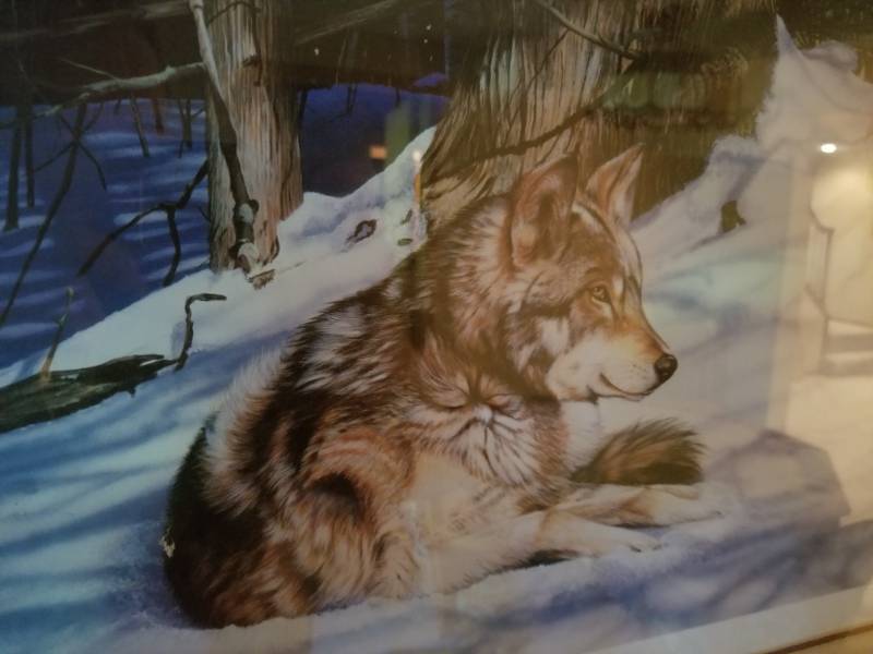 lot 40 image: Chris Wozniak Shadowcrest Print