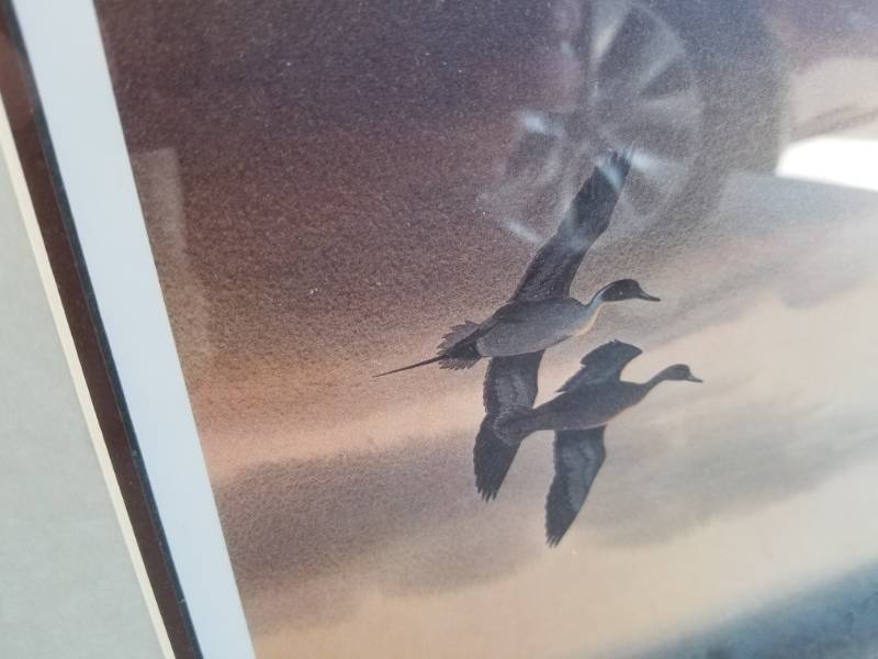 lot 43 image: Silent Sunrise Duck Print