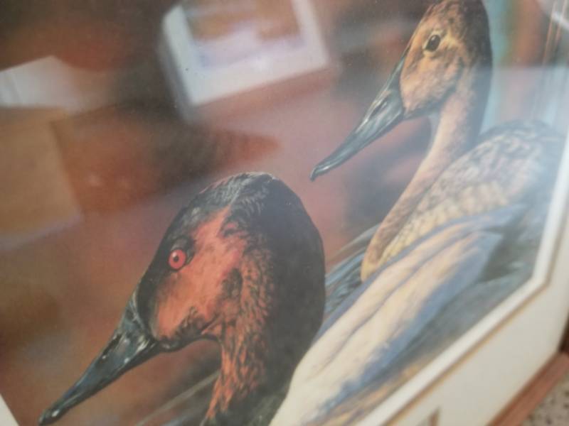 lot 47 image: Bruce Miller Duck Print