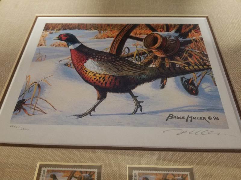 1996 Pheasant Print