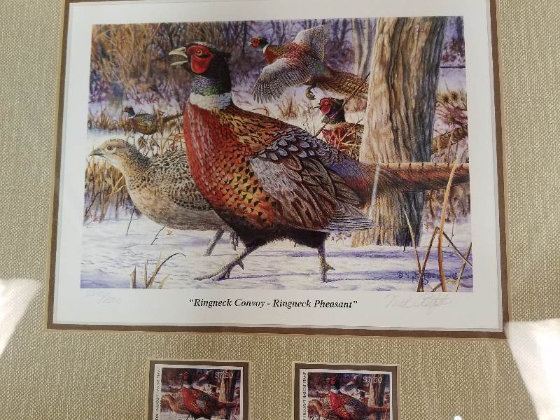 2008 Pheasant Stamp Print