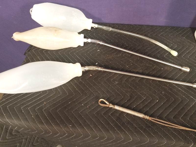 Assorted Cattle Products