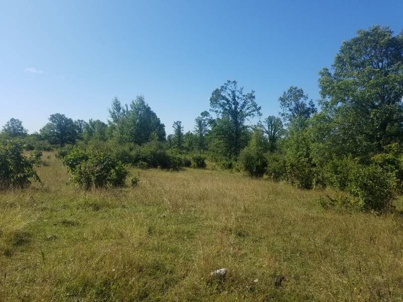 126 Acre Northern Minnesota Hunting Lease