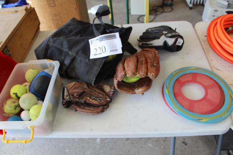 lot 220 image: Baseball Gloves, Baseballs, Tennis Balls, Frisbees, Sporting Goods