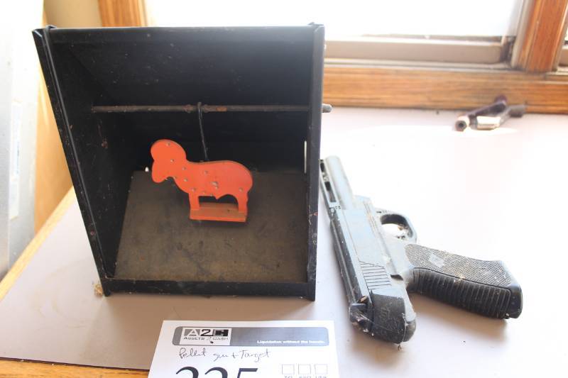 lot 225 image: Black Venom .177 Pellet Gun, Targets