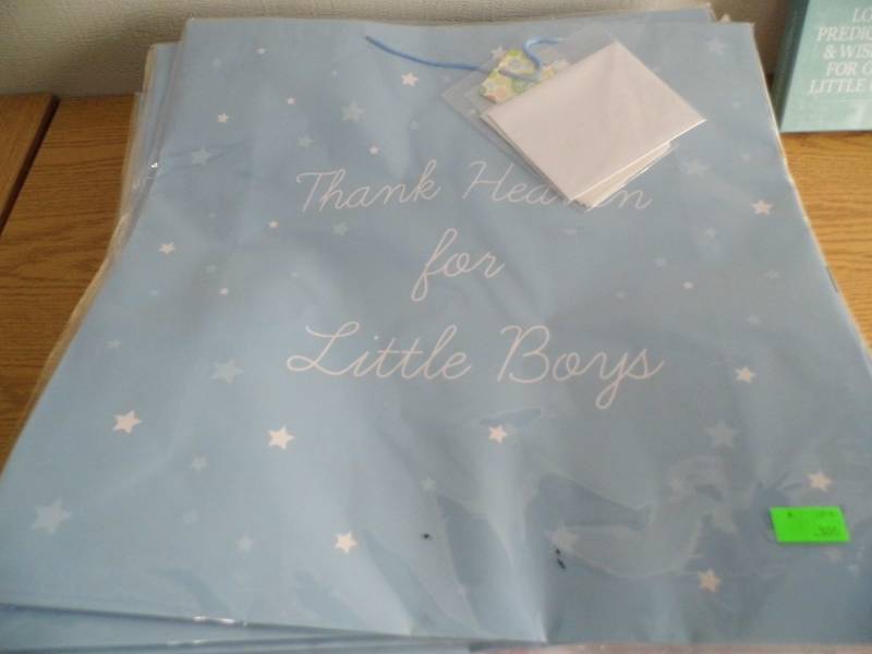Large Gift Bags - Shower Games